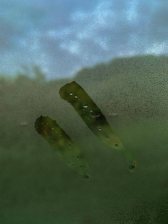 Foggy window with condensation and a blurred outdoor view