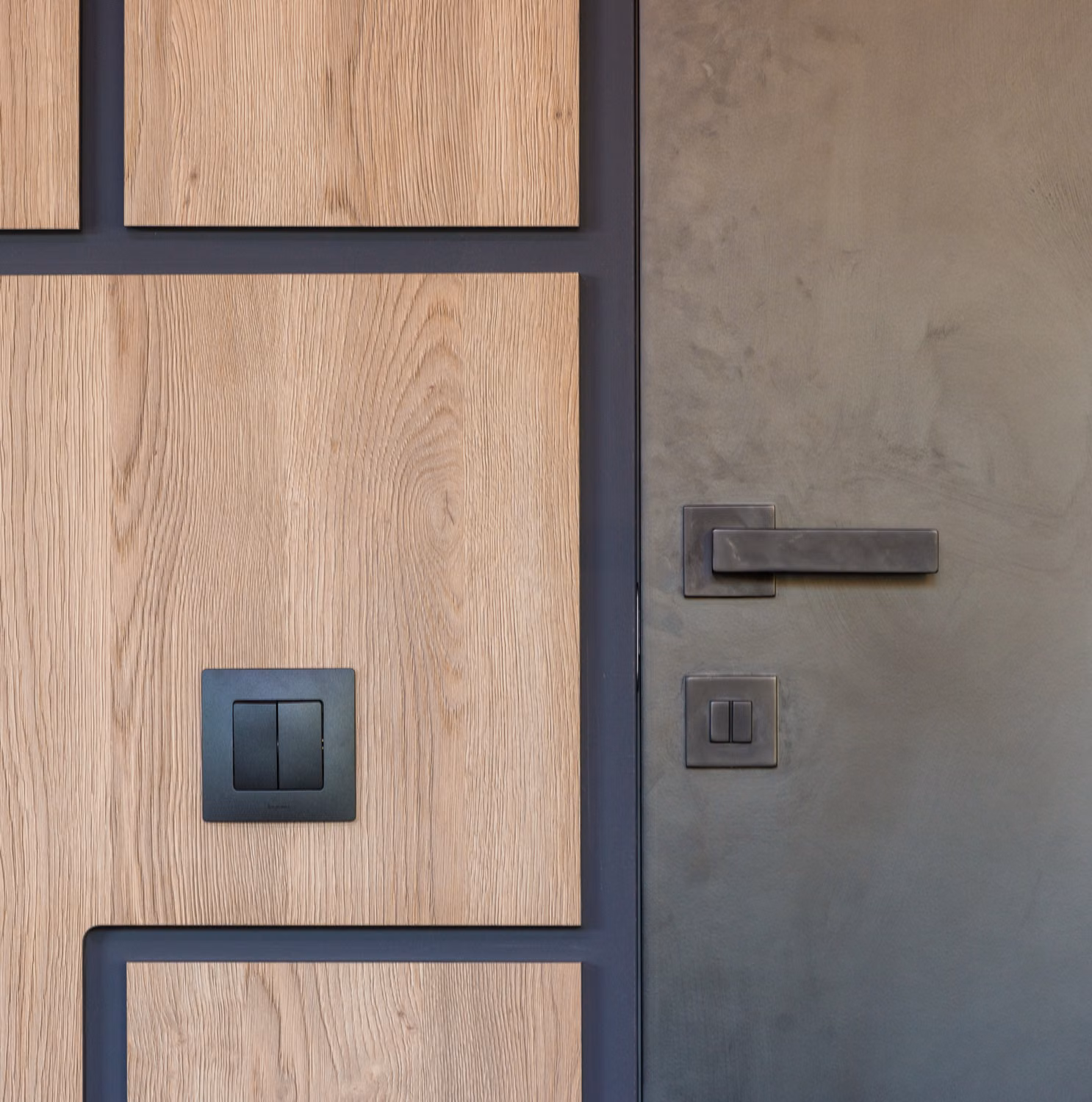 Modern apartment entrance door and frame