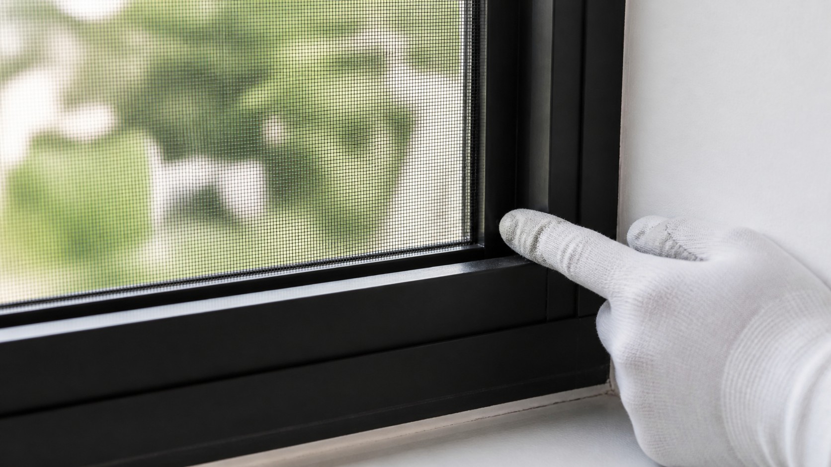 Mosquitoes Coming Through Windows? 7 Gaps to Check