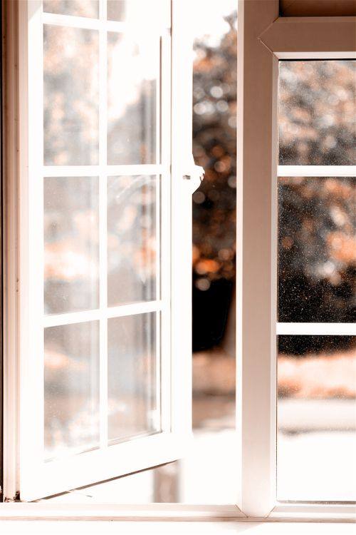 White-framed window opened toward autumn foliage