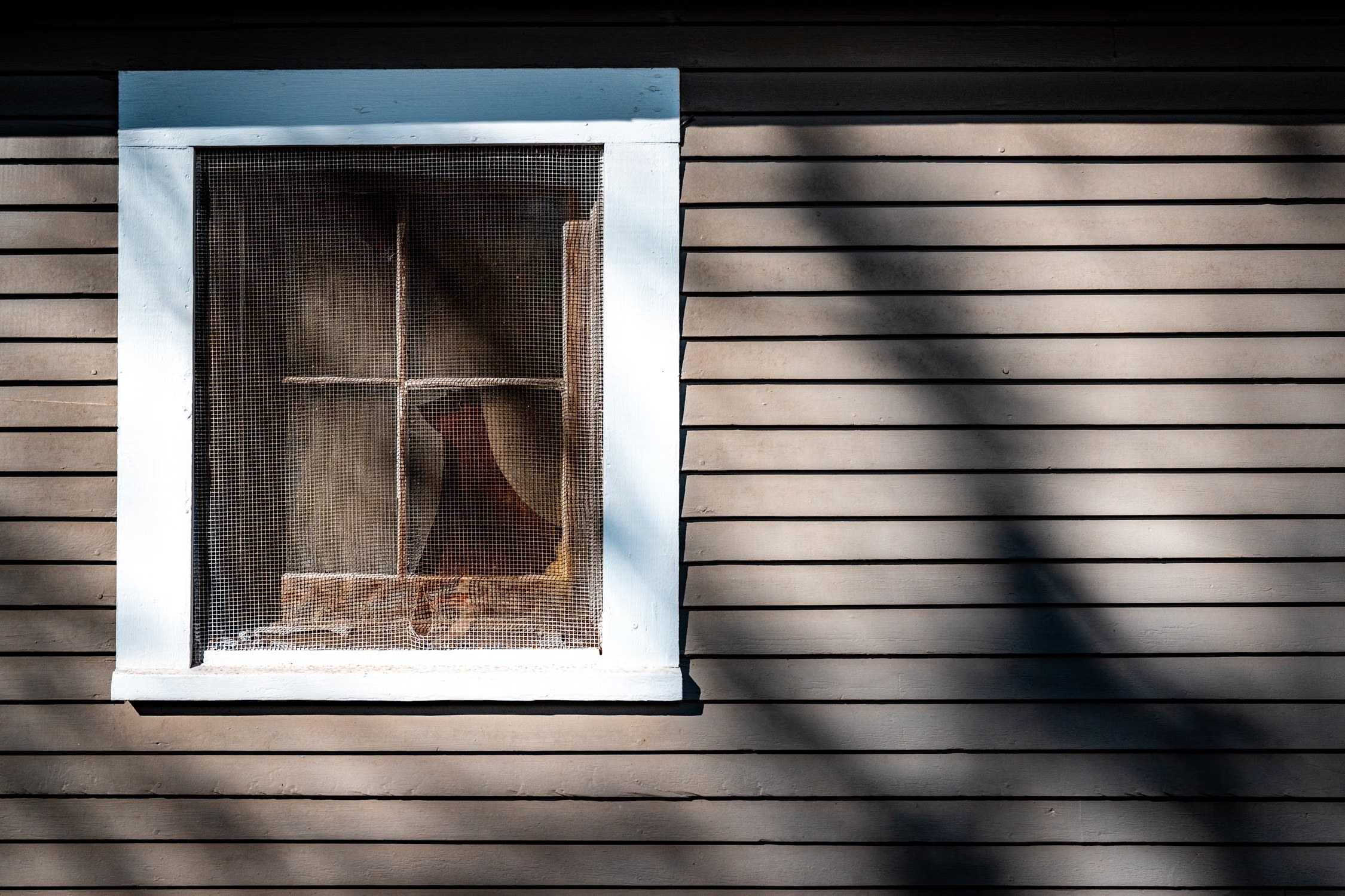 Torn Window Screen? How to Repair or Replace It Safely