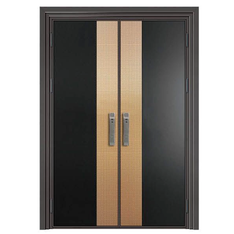German Aluminum Door 49 product image