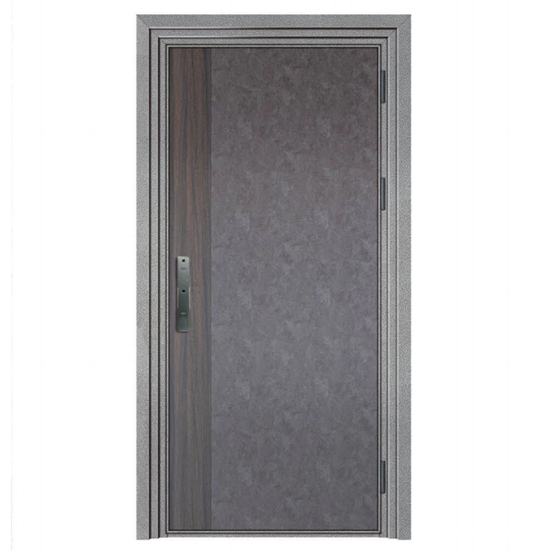 Stainless Steel Card Door 06