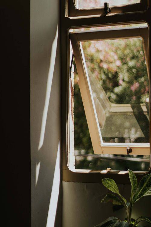 Open window receiving strong sunlight beside an indoor plant