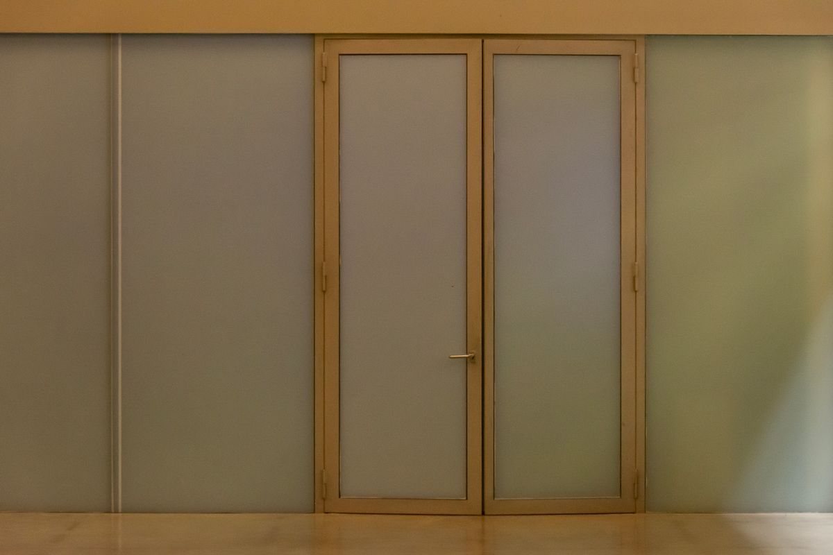 Door with frosted glass panels
