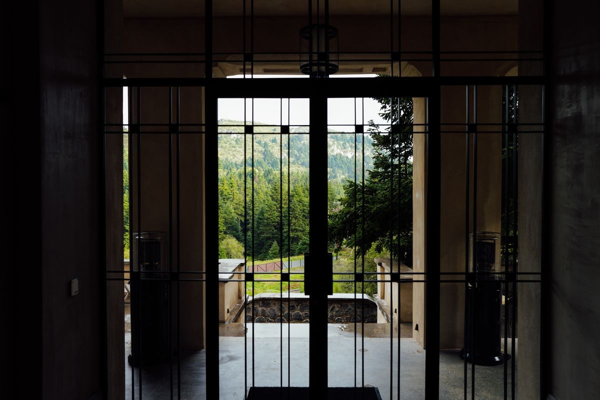Glass doorway facing a forest