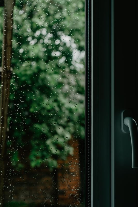 Raindrops on glazing with green plants outside